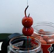 pasiune pentru culori